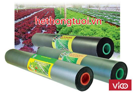 Màng phủ sinh học, màng phủ nông nghiệp, màng pe phủ nilon nông nghiệp