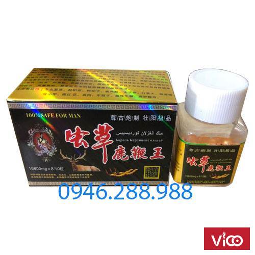 Tăng cường sinh lý nhung hươu đông trùng