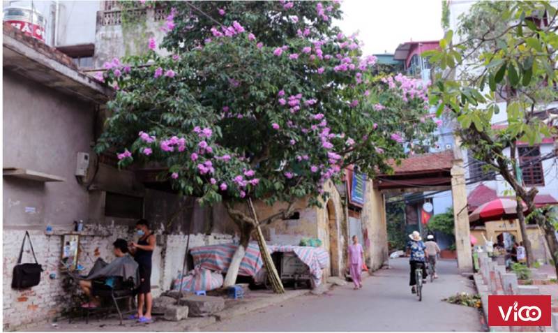 Bán nhà thiết kế chất lừ khu Xã Đàn, giá 3,7 tỷ.