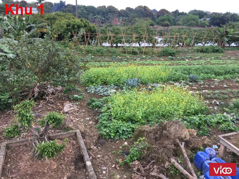 Cần bán 2 trang trại 1 khu đất xây nhà xưởng tại Xã Đông Mỹ, Thanh Trì, Hà Nội.