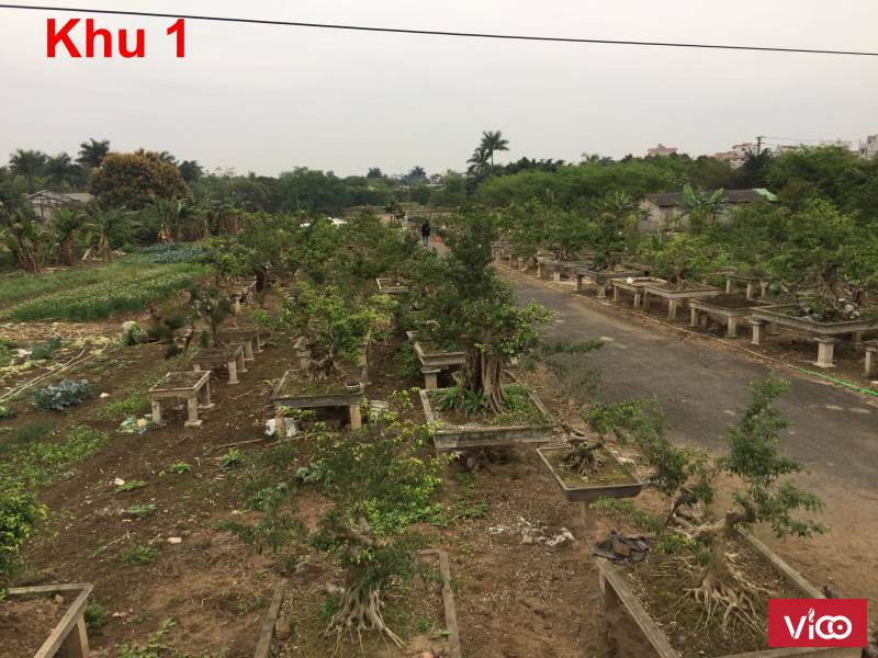 Cần bán 2 trang trại 1 khu đất xây nhà xưởng tại Xã Đông Mỹ, Thanh Trì, Hà Nội.