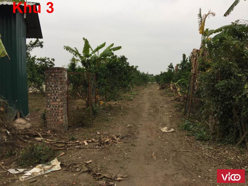 Cần bán 2 trang trại 1 khu đất xây nhà xưởng tại Xã Đông Mỹ, Thanh Trì, Hà Nội.