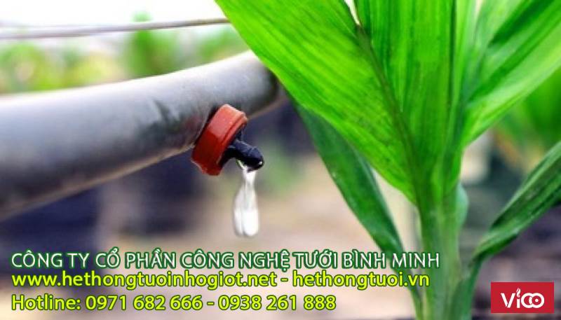 tìm đại lý tưới nhỏ giọt, đại lý tưới nhỏ giọt toàn quốc,đại lý hệ thống tưới nhỏ giọt uy tín