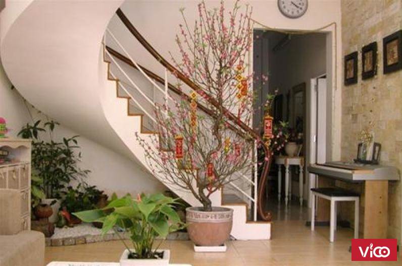 Cần bán nhà vừa ở vừa kinh doanh Ngọc Khánh Ba Đình 45m2, ngõ thông tứ tung