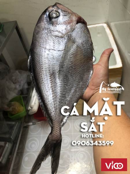 Cá mặt sắt hàng mới nha mọi người, thịt cá thơm ngon