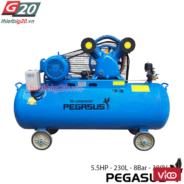 Cung cấp máy nén hơi Pegasus