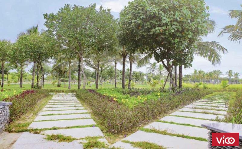 Đất nền đô thị fpt city Đà Nẵng.