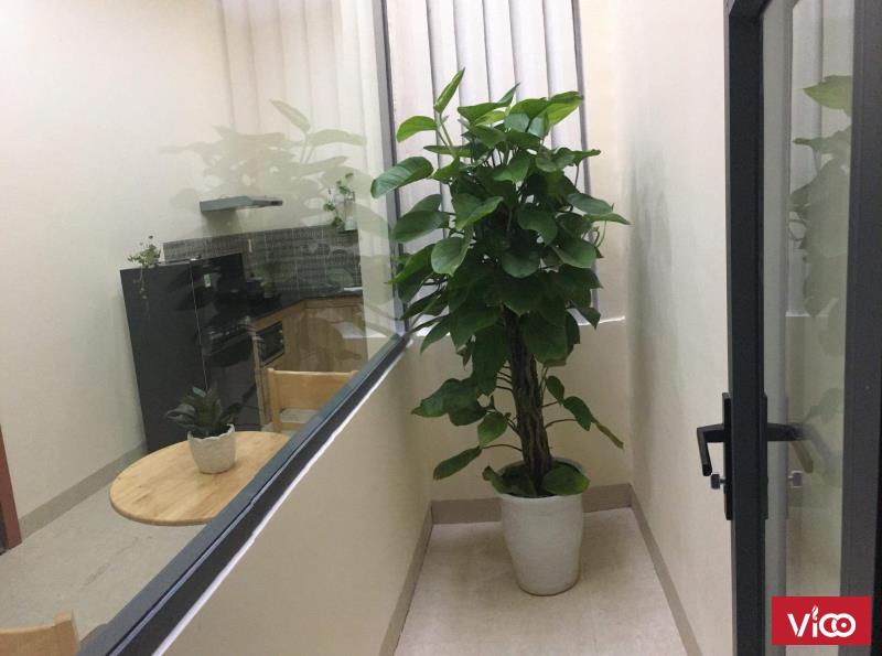 Nhà nguyên căn 4 tầng, 6PN, nằm gần cầu Rồng, gần biển