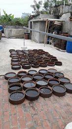 Nước mắm truyền thống SA CHÂU GIAO THỦY NAM ĐỊNH