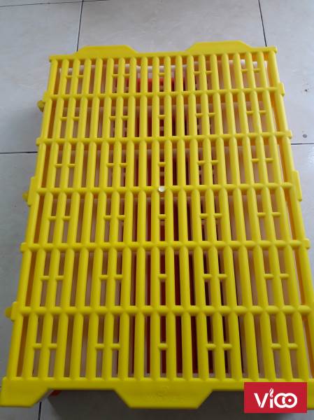 tấm nhựa lót sàn chuồng cao cấp