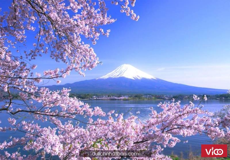 Sakura Garden, Vsip Bắc sông Cấm Hải Phòng