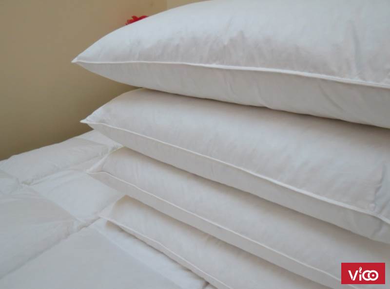 Chuyên sản xuất tất cả các loại chăn gối lông vũ