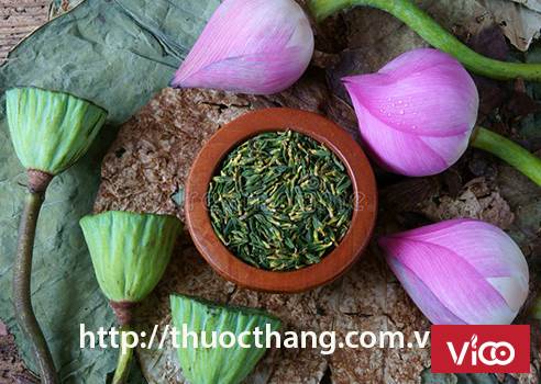 Tâm sen, bài thuốc chữa bệnh rất hiệu quả bạn nên biết