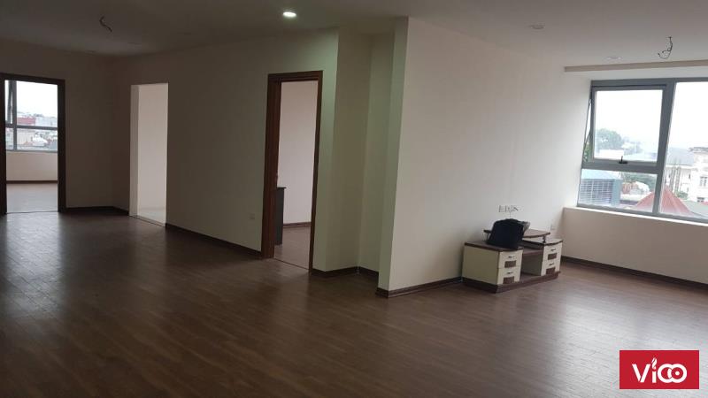 Chính chủ cho thuê căn hộ 110 m2 12,5 tr/tháng, 2PN tại chung cư Capital Gaden 102 Trường Chinh