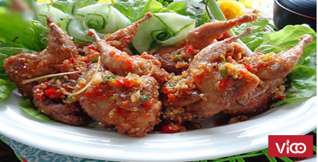 Địa chỉ cung cấp sỉ lẻ chim cút thịt chất lượng cao tại Miền Bắc, Miền Trung