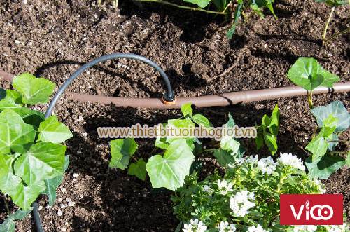 dây pe nhỏ giọt azud tây ban nha,ống mềm tưới nhỏ giọt azud