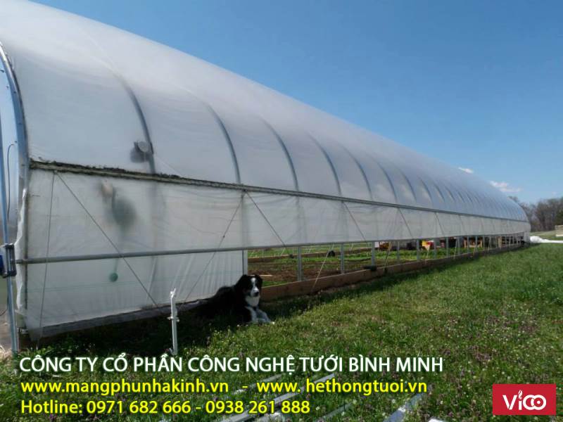 Màng kính Israel, màng nhà kính nhập khẩu Israel