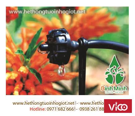 tưới nhỏ giọt, tưới nhỏ giọt hà nội, dây tưới nhỏ giọt bù áp,