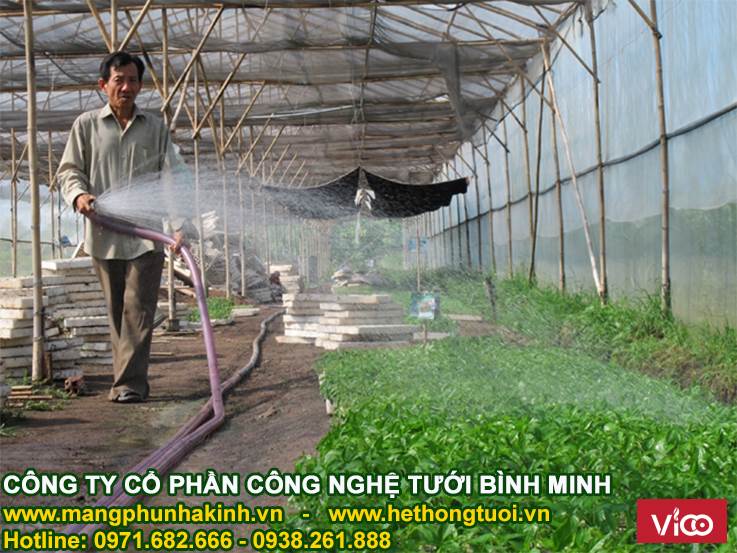 Màng phủ nhà kính, nhà kính trồng rau, nhà kính trồng hoa,