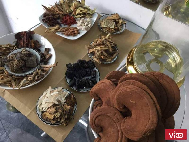 rượu thuốc nấm linh chi đỏ nông lâm