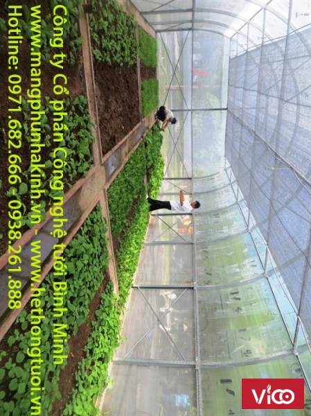 Màng nhà kính,nhà màng nông nghiệp, nhà màng Israel, chi phí làm nhà màng