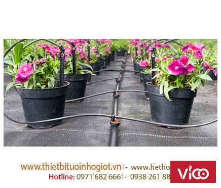 thiết bị tưới nhỏ giọt, hệ thống tưới nhỏ giọt đơn giản, tưới nhỏ giọt hà nội