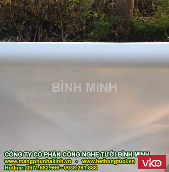 Màng nhà kính politiv israel, politiv pe, màng pe nhà kính politiv,