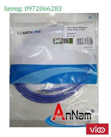 Dây nhảy Patch cord Cat5e 10 feet