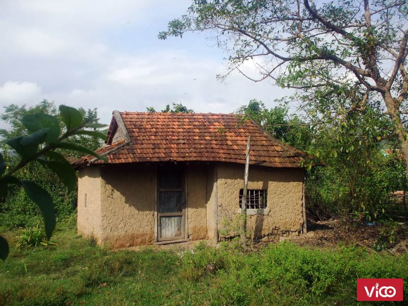 chuyển nhượng lại Nhà vườn