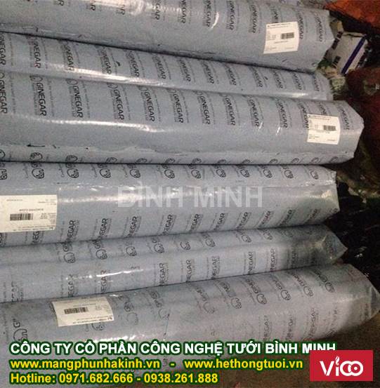 Màng nhà kính israel, màng kính 5 lớp, màng nhà kính nhập khẩu, màng kính 3,29mx100m.