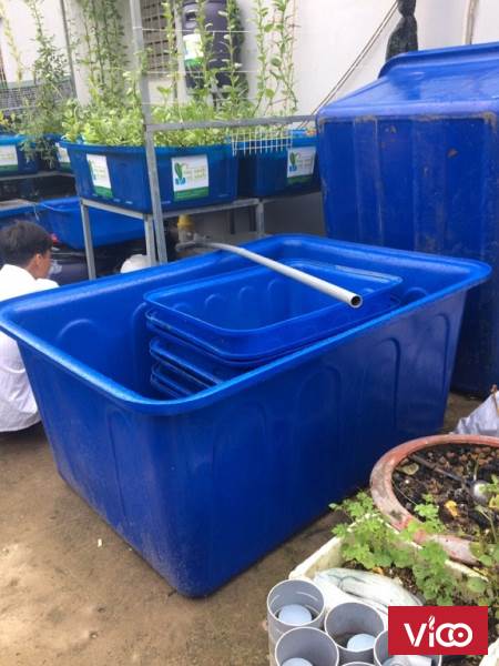 thùng nhựa nuôi cá 750l