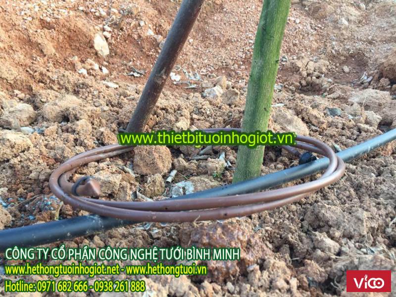 dây tưới nhỏ giọt dải luống azud,ống tưới nhỏ giọt tây ban nha