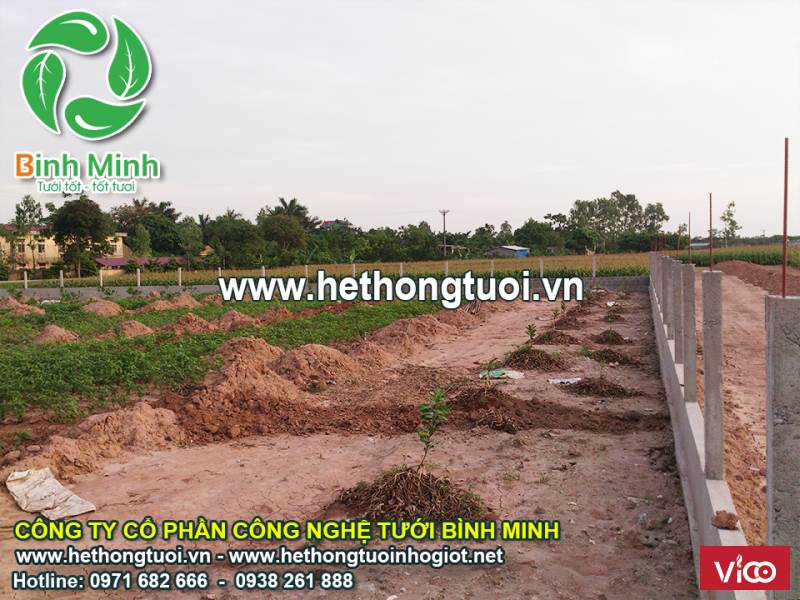 màng nhà kính tốt nhất, màng nhà kính giá rẻ tại hà nội,vật tư nhà kính