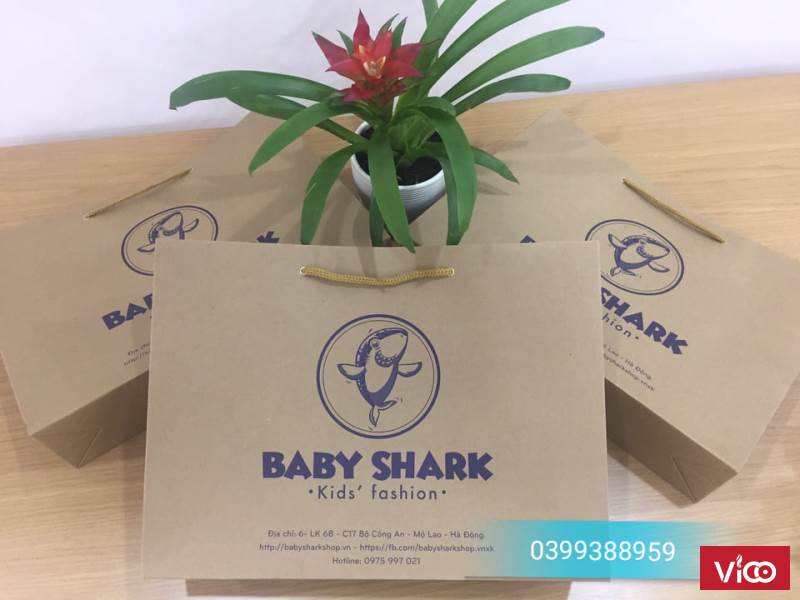 Đia chỉ in túi giấy giá rẻ tại hà nội