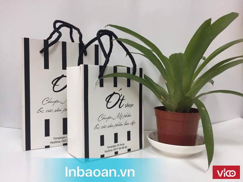 Đia chỉ in túi giấy giá rẻ tại hà nội
