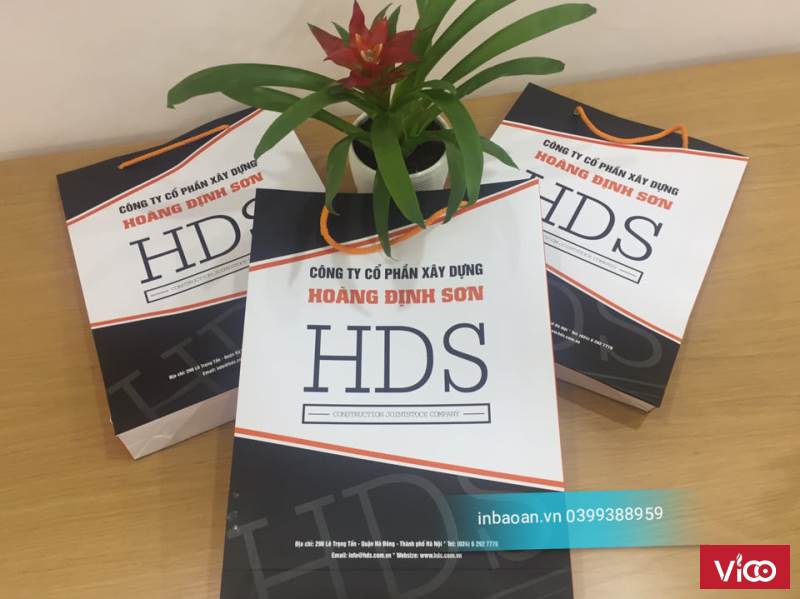 Đia chỉ in túi giấy giá rẻ tại hà nội