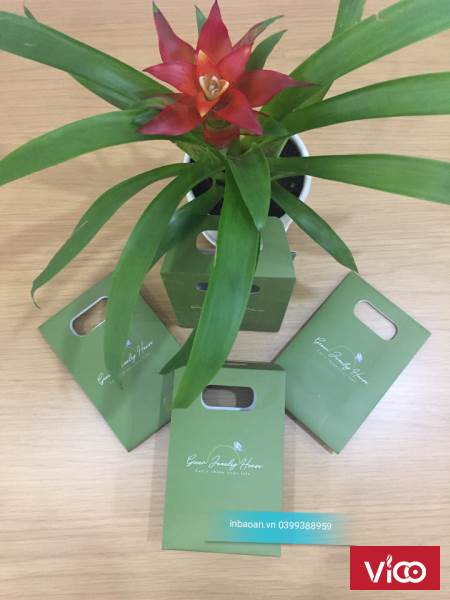 Đia chỉ in túi giấy giá rẻ tại hà nội