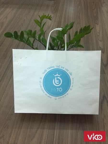 Đia chỉ in túi giấy giá rẻ tại hà nội