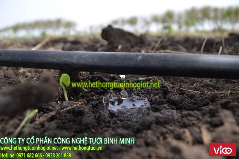 dây pe nhỏ giọt azud tây ban nha,ống mềm tưới nhỏ giọt azud, que cắm nhỏ giọt