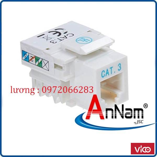 Nhân điện thoại RJ11 Cat3 AMP mã 13751921