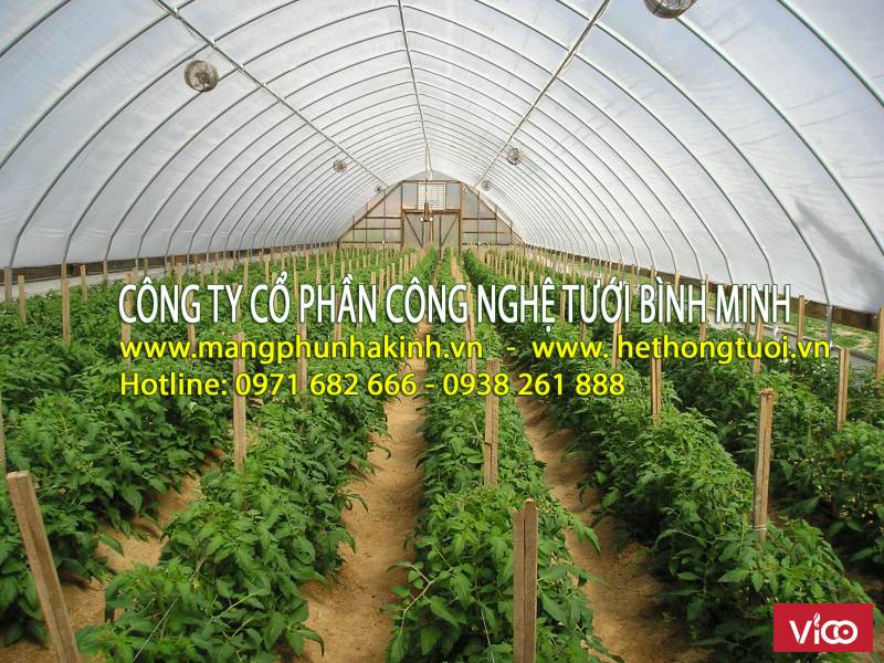chi phí làm nhà màng,báo giá màng phủ nhà kính