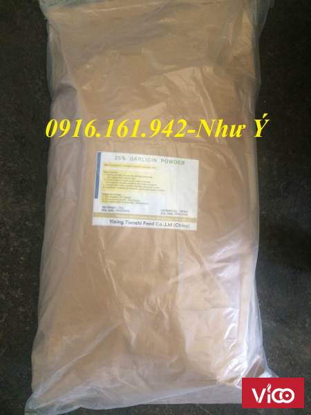 BỘT TỎI NGUYÊN LIỆU