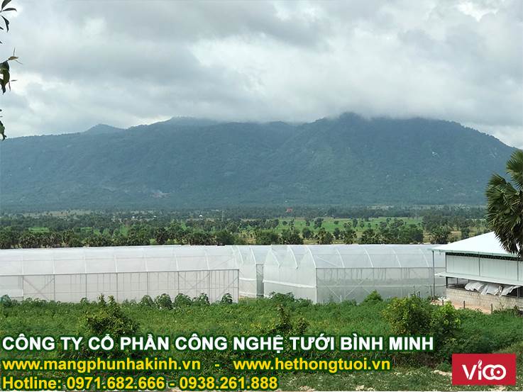 ,công ty bán lưới chắn côn trùng tại hà nội,lưới chắn côn trùng thái lan