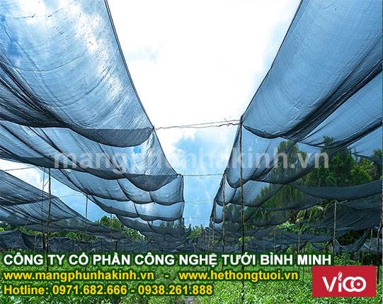 lưới che nắng trồng rau, lưới che nắng cho cây trồng, lưới che nắng