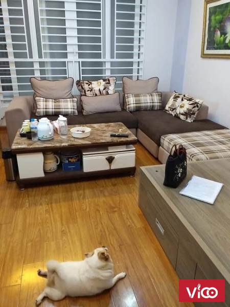 NHÀ ĐẸP SỬNG SỐT !! 42m2x4T,MT 8m, ô tô cách nhà 20m, nhỉnh 4 tỷ, Q Ba Đình