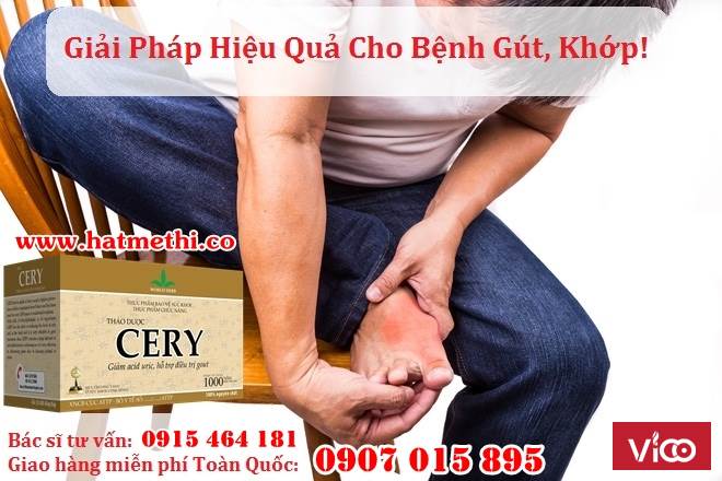 Thảo dược CERY giảm axit uric, trị gút khớp hiệu quả