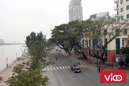 Cho thuê mặt bằng kinh doanh 290m2 đường Bạch Đằng gần chợ Hàn