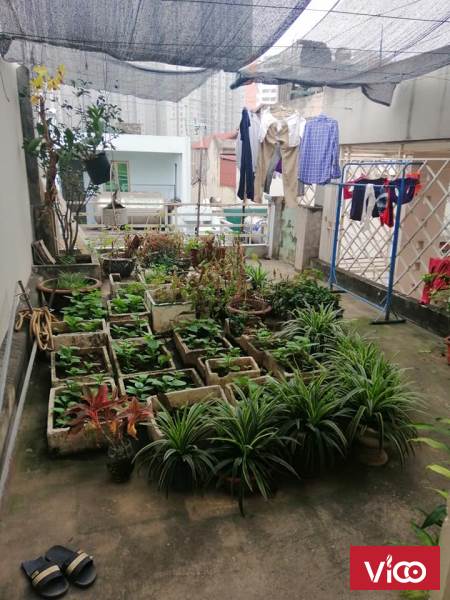 Bán đất gần bệnh viện 700 giường tỉnh Ninh Bình 417 68m2 LH 0337525262