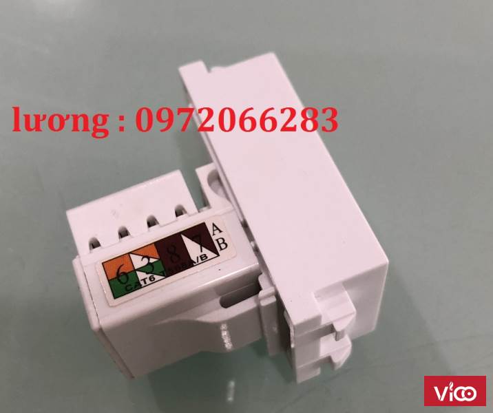 Nhân mạng RJ45 nắp âm tường, âm sàn (cat5/cat6)
