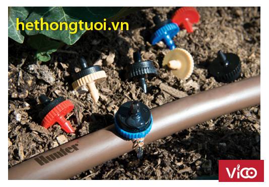 hệ thống tưới nhỏ giọt Israel, đầu tưới nhỏ giọt bù áp, dây tưới nhỏ giọt bù áp,